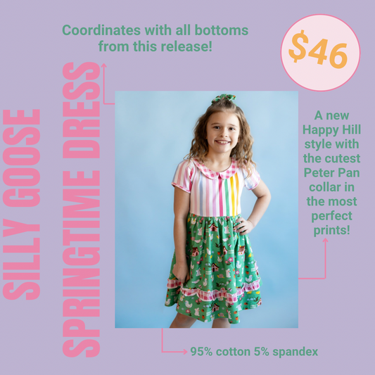 Silly Goose Springtime Dress